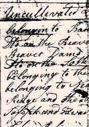 1775Frankstown06.jpg