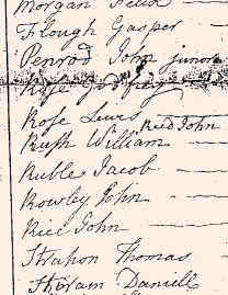 1775Turkeyfoot02.jpg