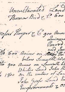 1775Turkeyfoot05.jpg