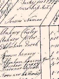 1776Turkeyfoot01.jpg