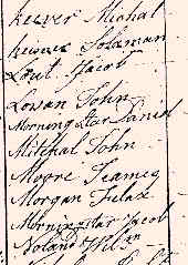 1776Turkeyfoot02.jpg