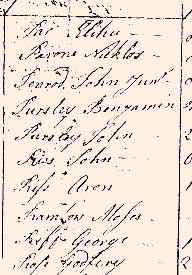 1776Turkeyfoot03.jpg