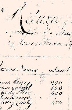 1779Turkeyfoot01.jpg