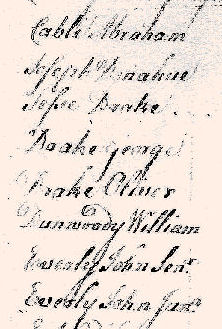 1779Turkeyfoot02.jpg