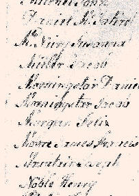 1779Turkeyfoot04.jpg