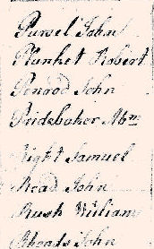 1779Turkeyfoot05.jpg