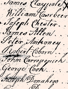 1781Turkeyfoot02.jpg