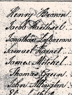 1782Turkeyfoot02.jpg