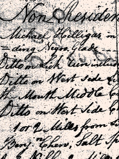 1782Turkeyfoot03.jpg
