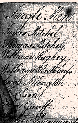 1782Turkeyfoot04.jpg