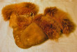 Glove02a.jpg