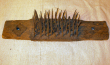 Hatchel04a.jpg