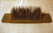 Hatchel10a.jpg