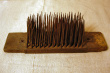 Hatchel11a.jpg