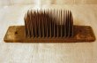 Hatchel13a.jpg