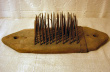 Hatchel16a.jpg
