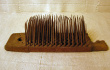 Hatchel19a.jpg
