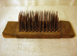 Hatchel29a.jpg