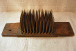 Hatchel36a.jpg