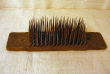 Hatchel38a.jpg