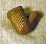 Pipe02a.jpg