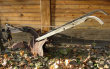 Plow01a.jpg