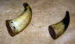 PrimingHorns.jpg