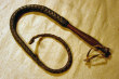 Whip03a.jpg