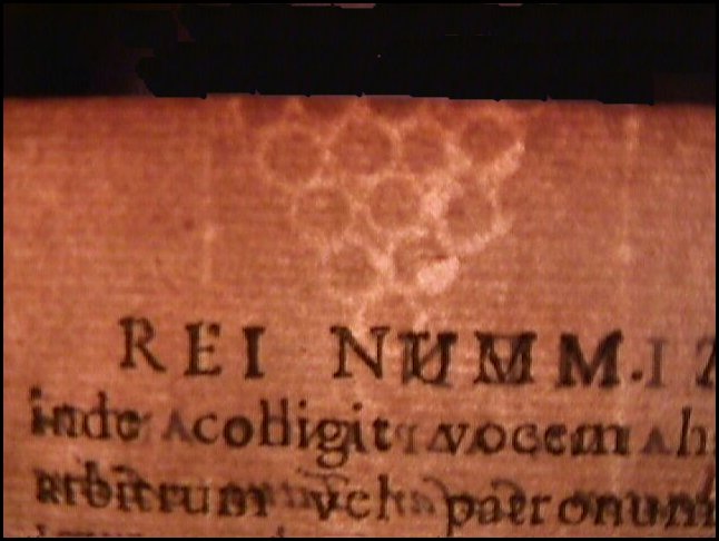 WMExample09.jpg
